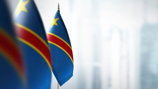 „Krankheit X“: WHO schickt Experten