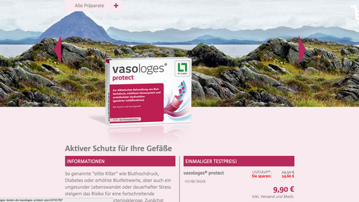 loges vasologes screenshot