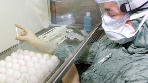 gsk beimpfen bruteier gsk