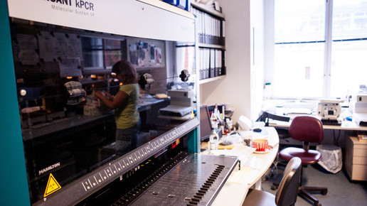 labor charite21 andreas domma