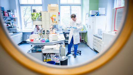 labor charite28 andreas domma