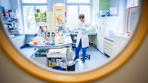 labor charite28 andreas domma