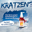 Bild für Dequonal®-Spray gegen Entzündungen im Mund und Rachen mit winterlicher Szenerie und Text „Perfekt für unterwegs!“