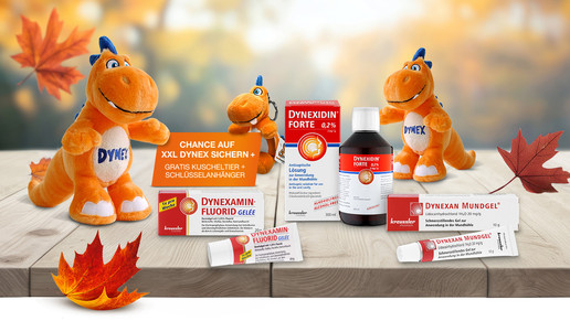 Bild im Herbst mit Herbstlaub mit Kuscheltier DYNEX und Kreussler Pharma Produkten