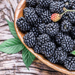 Brombeeren gegen Herzerkrankungen?