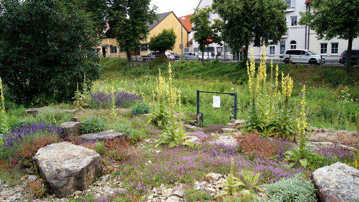museum schonungen garten5 friedrich karl schumm
