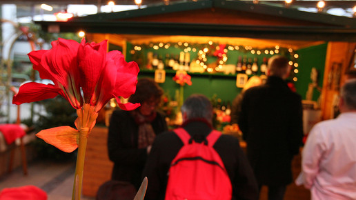 weihnachtsmarkt2 augusta-kranken-anstalt