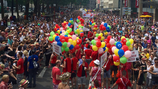 csd koeln parade 01 birkenapo