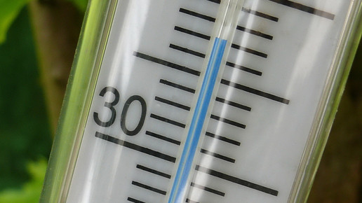 thermometer Rosel Eckstein pixelio