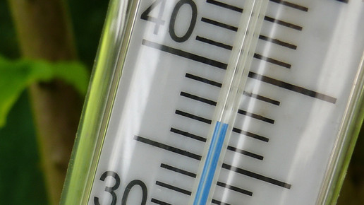 thermometer Rosel Eckstein pixelio