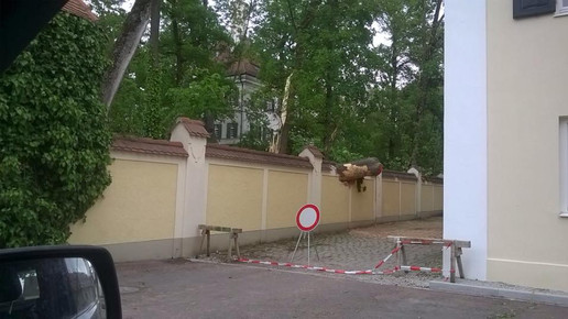 11287312 10206584842242843 1261342958 n