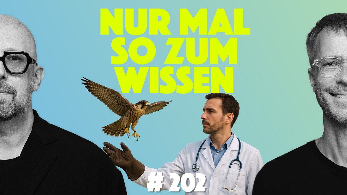 -rzte-lassen-Falken-steigen