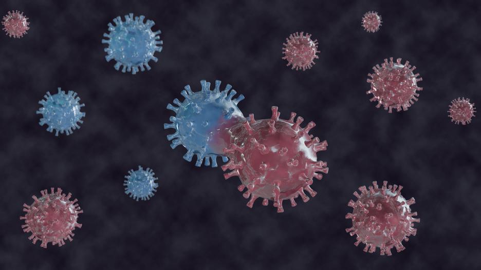 Omikron könnte in HIV-Patienten entstanden sein