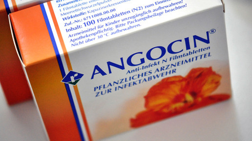 angocin04 aa