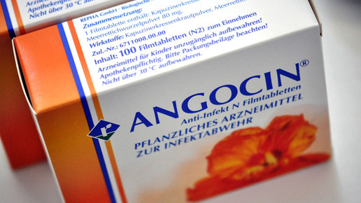 angocin04 aa