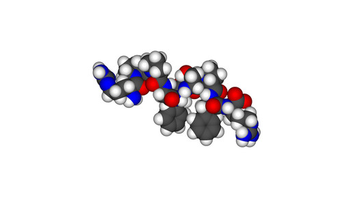 bradykinin wikipedia