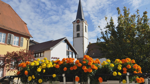 Kirchplatz 22 Stadt-Apotheke