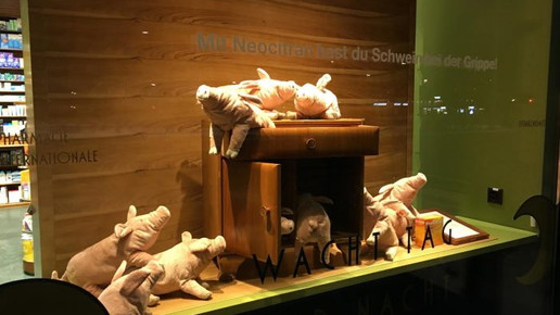 bellevue-apo fenster3 bellevue-apo