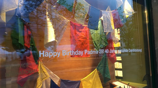 bellevue-apo fenster20 bellevue-apo