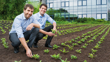 Der Inhaber führt! (Teil 3)