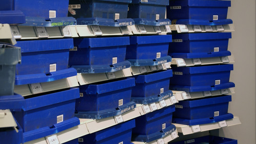 flora-apo170711 alte-apo2 flora-apo