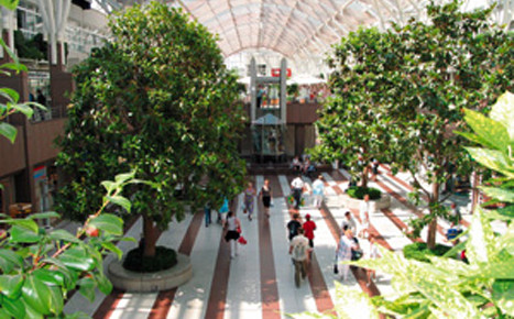 nordwestzentrum ffm nwz