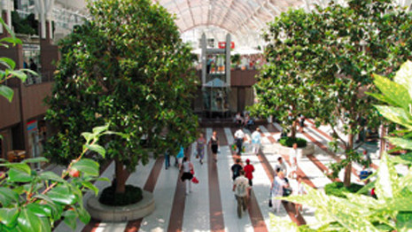 nordwestzentrum ffm nwz