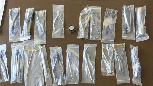 pangea xi 4 interpol.