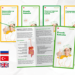 Die Informationsbroschüren auf einen Blick