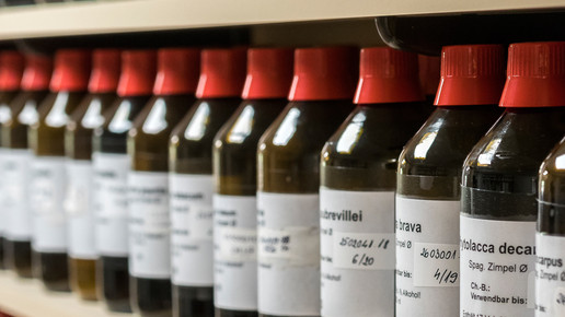 spaniel stefan11 oliver heinl