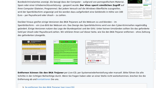 160610 trojaner-entfernen bka aa