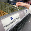 ApoTEEke im Discounter