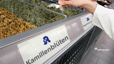Discounter kapern Apothekentee