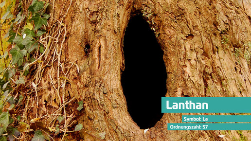 57 lanthan la thomas max mueller pixelio de