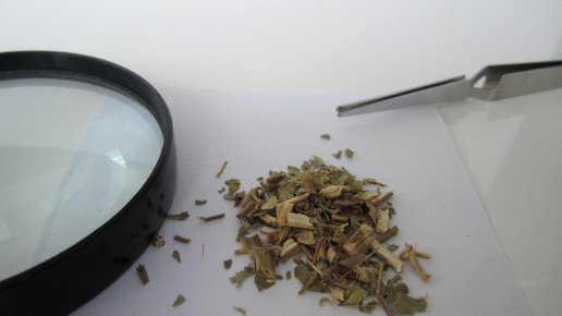 Passiflorae herba 1 aa