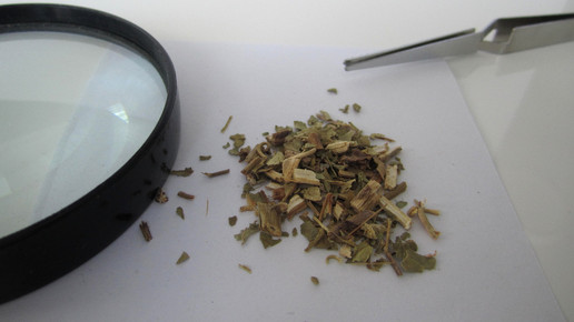 Passiflorae herba 1 aa