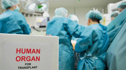 Uniklinik Heidelberg bestätigt Manipulationen