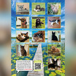 Hund und Katze: Apotheke adressiert Tierfreunde