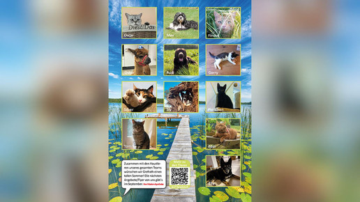 Hund und Katze: Apotheke adressiert Tierfreunde