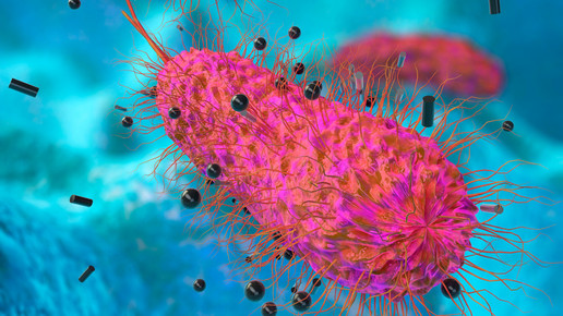 KI hat erstmals ein Arzneimittel entdeckt