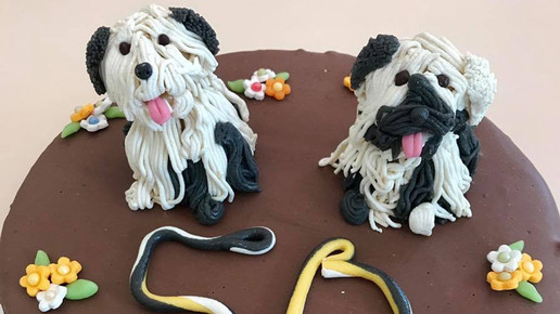 toertchen7 hunde toertchenmanufaktur