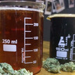 Tilray und Anheuser wollen Cannabis-Bier brauen