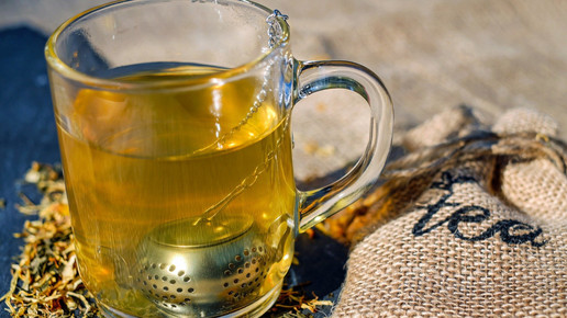 Grüner Tee gegen Antibiotikaresistenzen