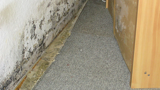 apo ueberflutet wasserschaden aa