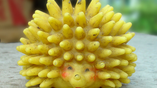 hundespielzeug Salome Michel pixelio de