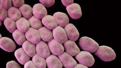 a baumanii cdc james archer