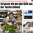 Bild: Freiwahl ist „Humbug“