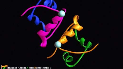 insulin molekuele cdc-bnl mccarthy