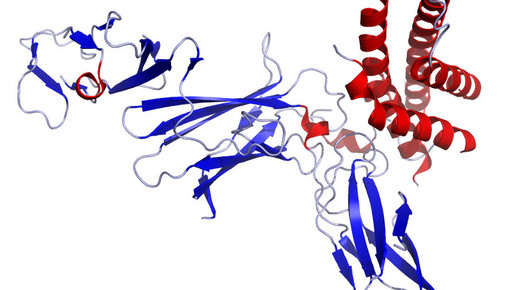 interleukin 12 kristallstruktur wikipedia sedmic