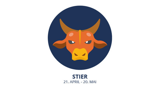 stier